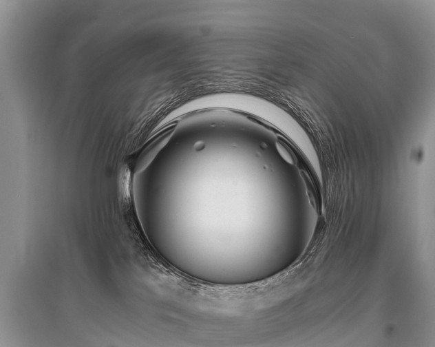X0000096140041200801251052