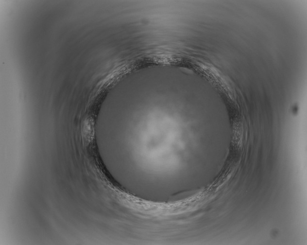 X0000096140043200801251052