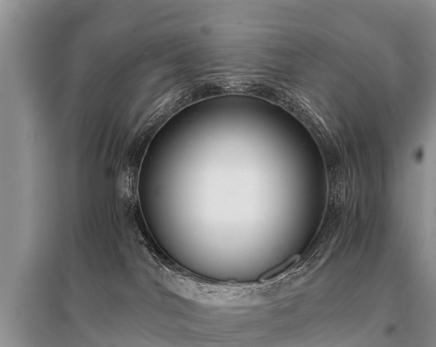 X0000096140044200801251052