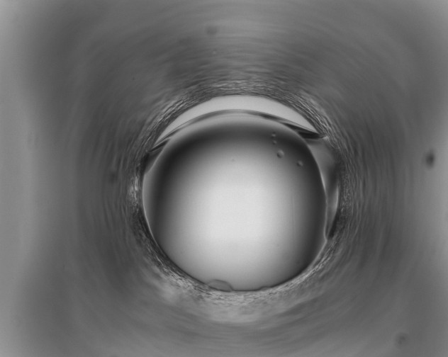 X0000096140045200801251052