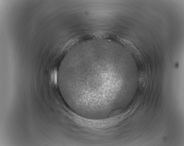 X0000096140046200801251052