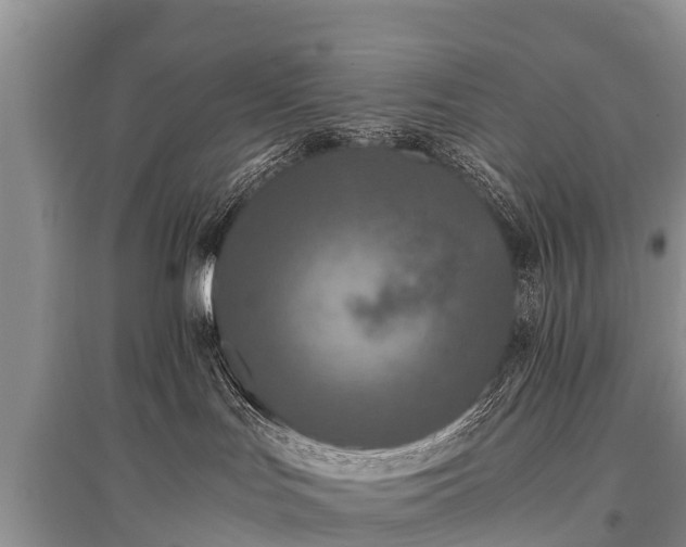 X0000096140047200801251052