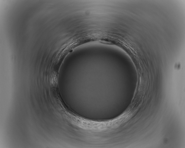 X0000096140048200801251052