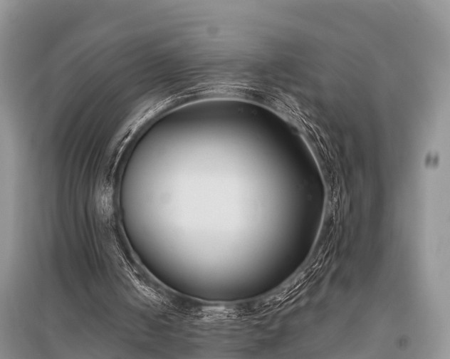 X0000096140050200801251051