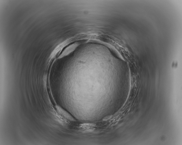 X0000096140051200801251051