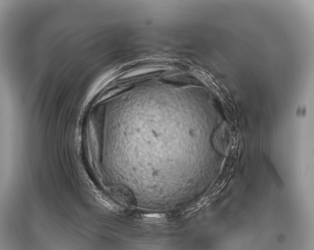 X0000096140053200801251051