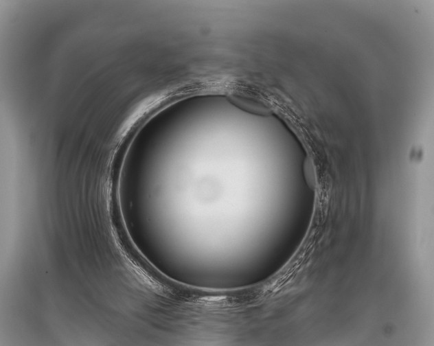X0000096140054200801251051