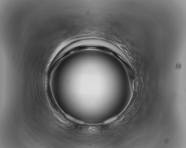 X0000096140056200801251051