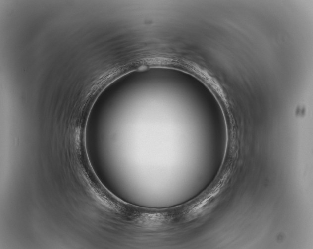 X0000096140057200801251051