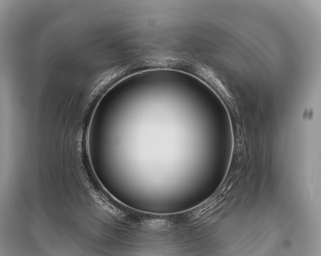 X0000096140058200801251051