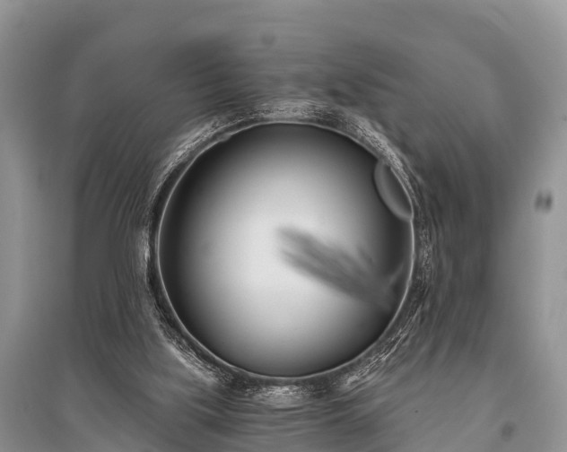 X0000096140059200801251051