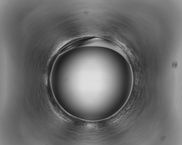 X0000096140060200801251051