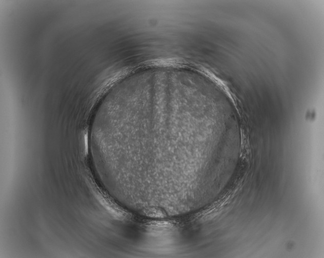 X0000096140061200801251051