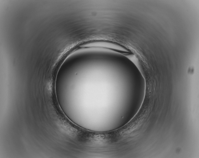 X0000096140064200801251051