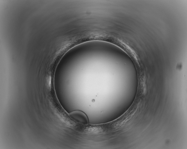 X0000096140067200801251051