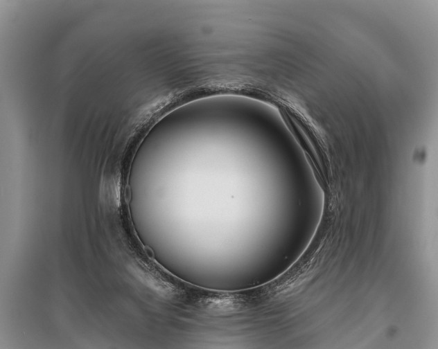 X0000096140068200801251051