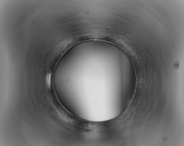 X0000096140070200801251051