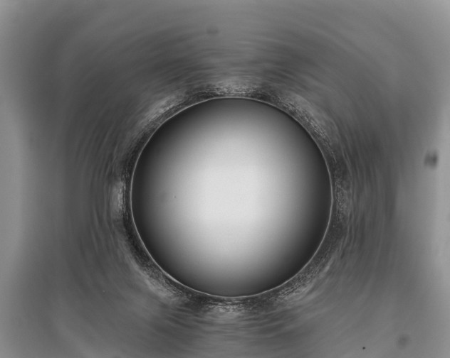 X0000096140071200801251051