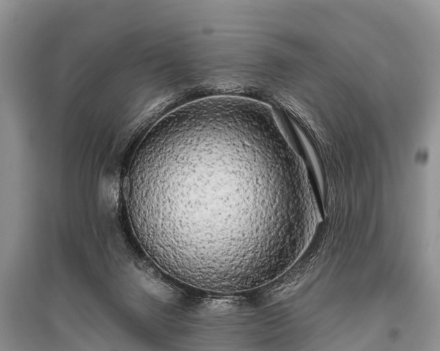 X0000096140072200801251051