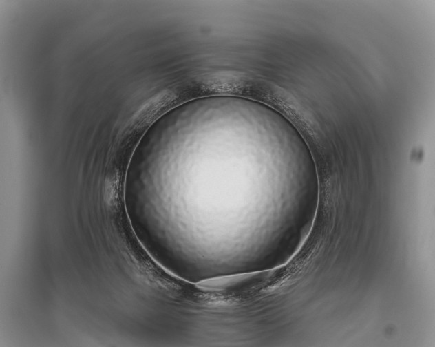 X0000096140073200801251051