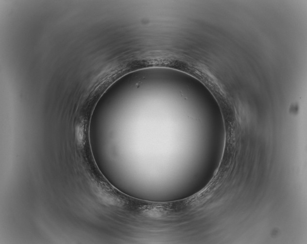 X0000096140074200801251051