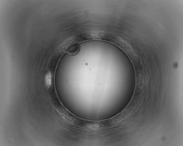X0000096140075200801251051