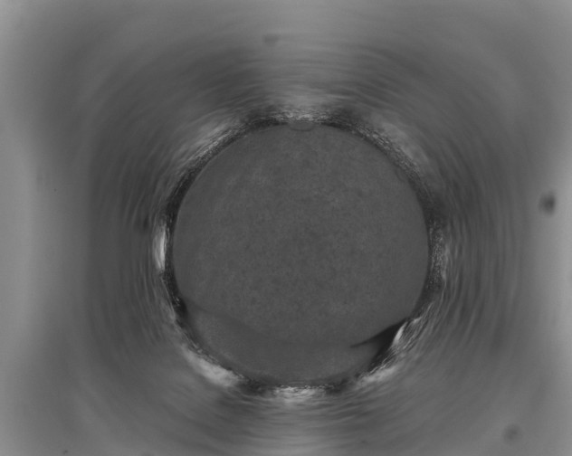 X0000096140076200801251051