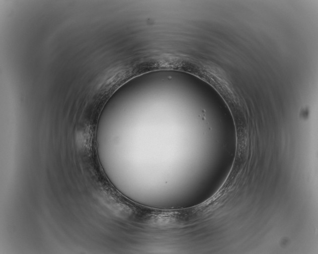 X0000096140078200801251051