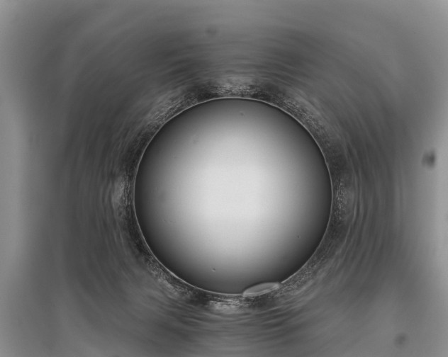 X0000096140079200801251051