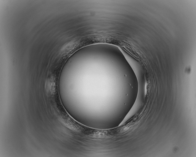 X0000096140080200801251051