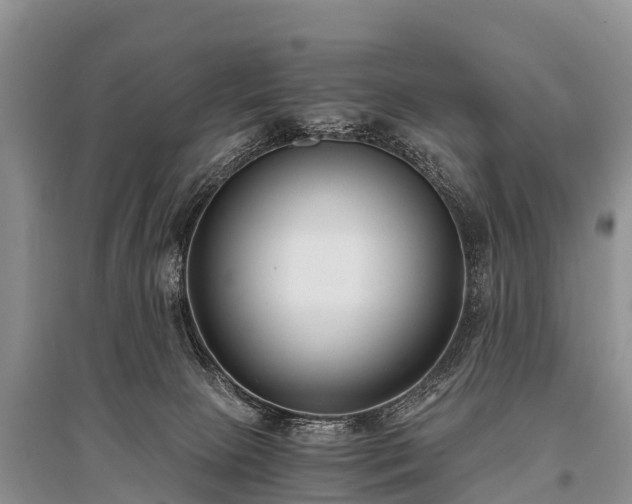 X0000096140081200801251051