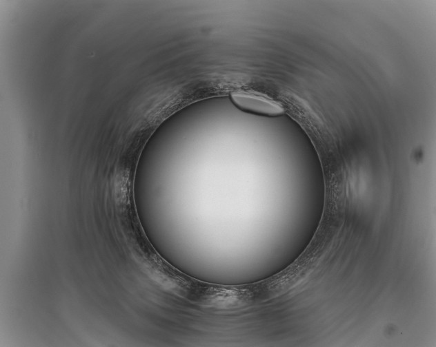 X0000096140083200801251051