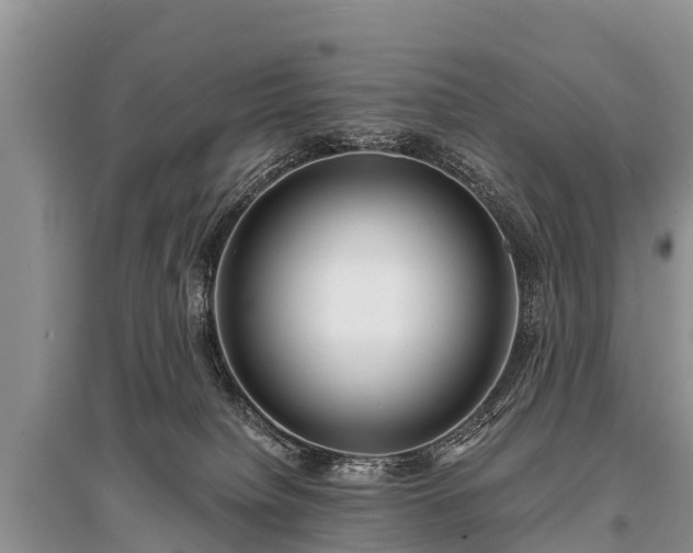 X0000096140084200801251051