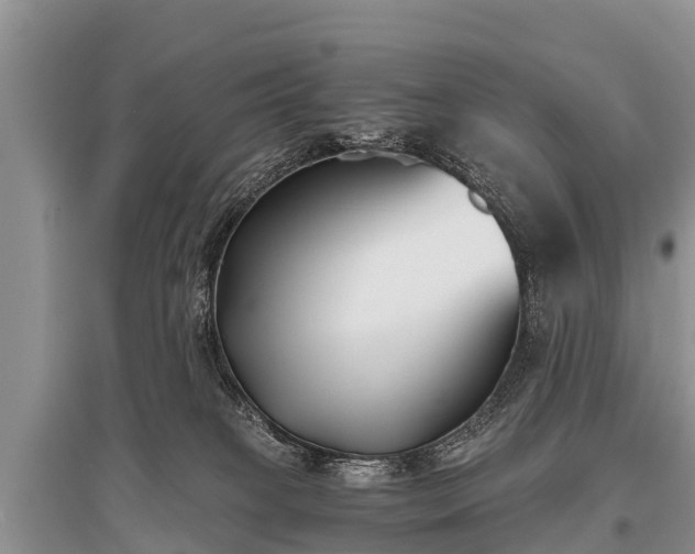 X0000096140085200801251051