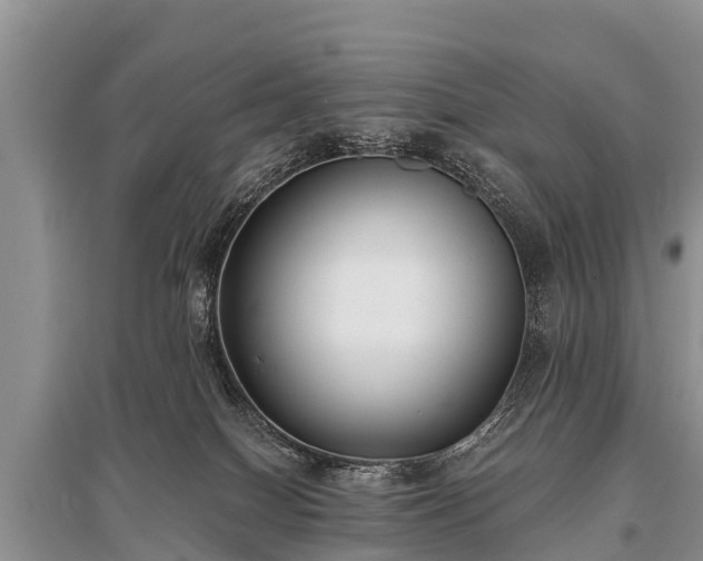 X0000096140086200801251051