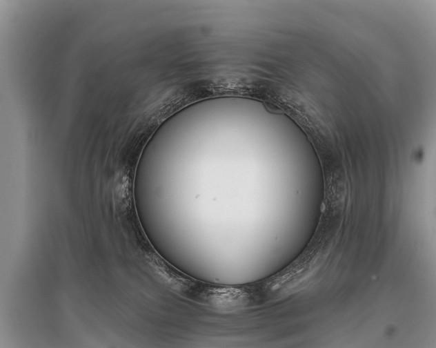 X0000096140087200801251051