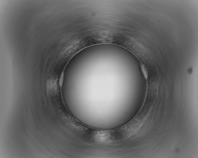 X0000096140088200801251051