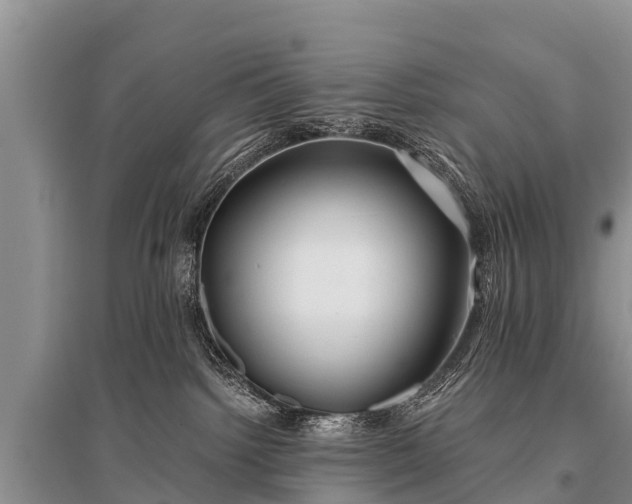 X0000096140092200801251052