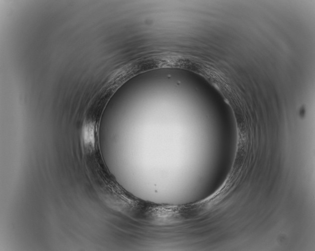 X0000096140094200801251052
