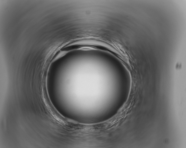 X0000096140097200801251051