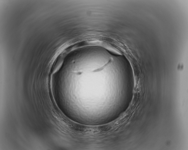 X0000096140099200801251051