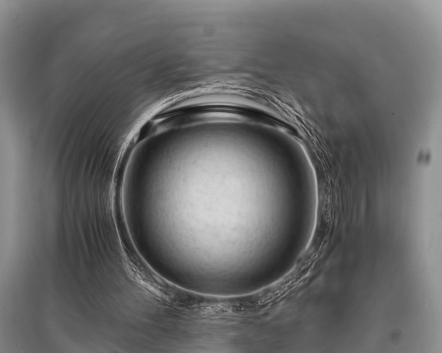 X0000096140100200801251051