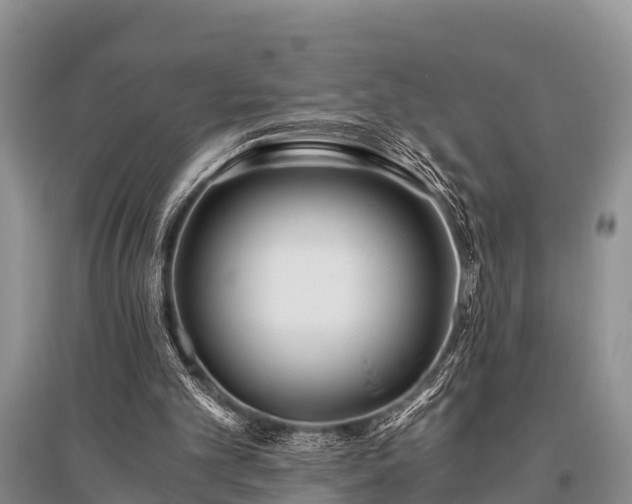 X0000096140101200801251051