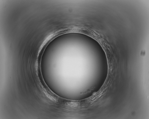 X0000096140102200801251051