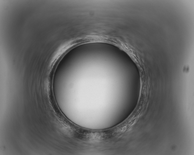 X0000096140103200801251051