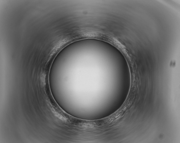 X0000096140106200801251051