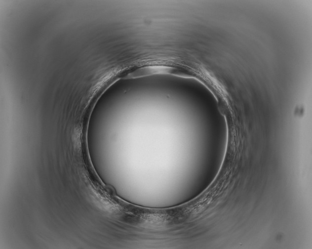X0000096140107200801251051