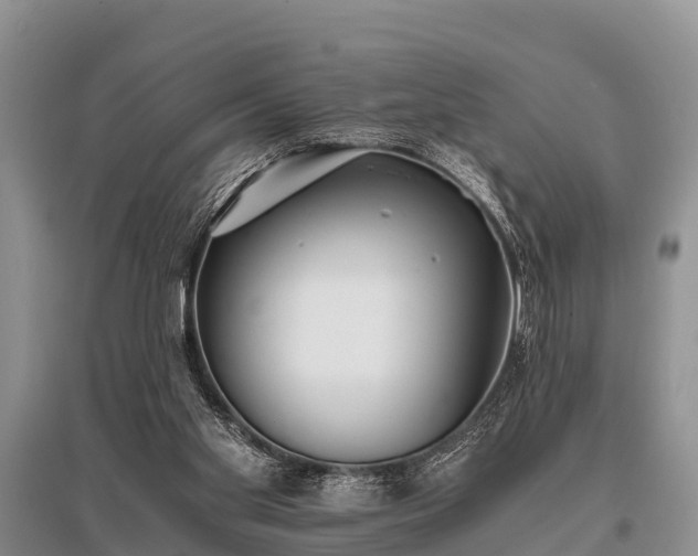 X0000096140109200801251051