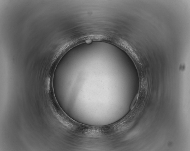 X0000096140110200801251051