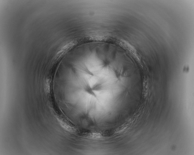 X0000096140114200801251051